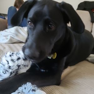 Meet your Posher, Darcie